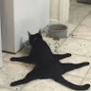 Meet your Posher, Ce505sar